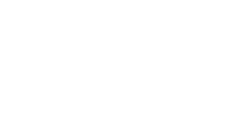 MS Construction